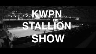 KWPN Stallion show promo 2022 ENG
