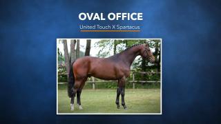 Oval Office - United Touch S X Spartacus