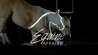 Equine Affaire 2023 on EQUUS - Download the EQUUS App to register for an ALL EXPENSE PAID TRIP for 2 to Equine Affaire