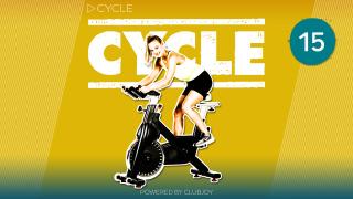 Cycle 15