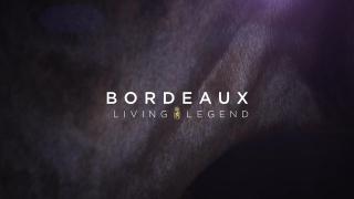 Living Legend - Bordeaux