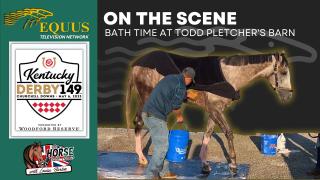 Bath Time at Todd Pletcher's Barn - 2023 Kentucky Derby