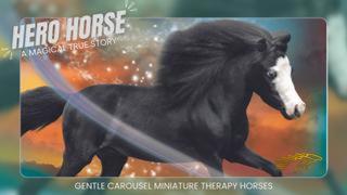 Hero Horse: A Magical True Story