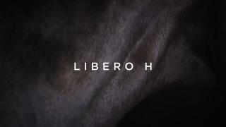 Legendary Lane: Libero H