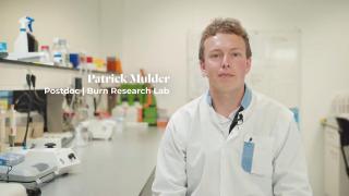 Cultured human skin for burn research