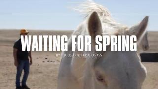EQUUS Artist Kisa Kavass - Waiting for Spring