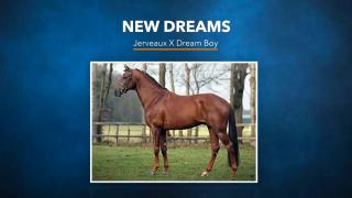 New Dreams - Jerveaux x Dreamboy 