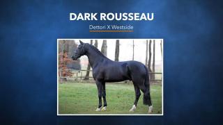 Dark Rousseau - Dettori x Westside