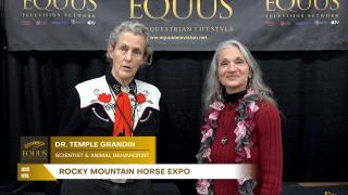 Rocky Mountain Horse Expo - Diana De Rosa Interview With Scientist & Animal Behaviorist Dr. Temple Grandin 