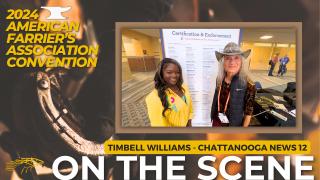 Timbell Williams Chattanooga News 12 - 2024 American Farrier's Association Interview with Diana De Rosa