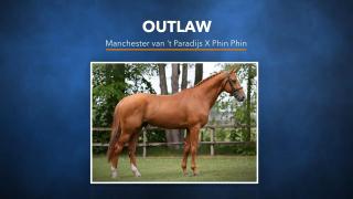 Outlaw - Manchester van 't Paradijs x Phin Phin