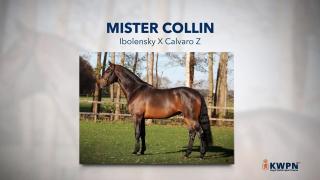 13. Mister Collin