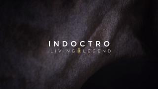 Living Legend - Indoctro