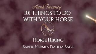101 Things To Do With Your Horse - Horse Hiking