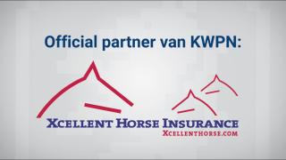 Official partner - Xcellent Horse Insurance