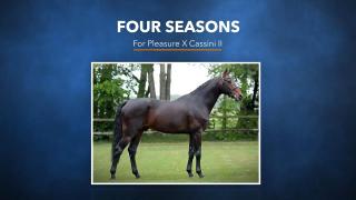 Four Seasons - For Pleasure X Cassini II