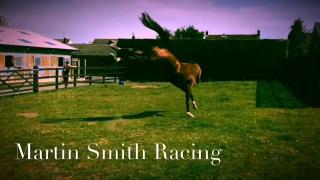 Martin Smith Racing -  Badger The Pony joins the Martin Smith Racing Club 