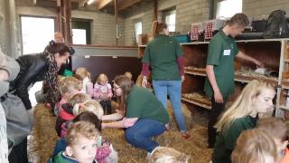 Aai en Knuffeldag op het Groevenbeek