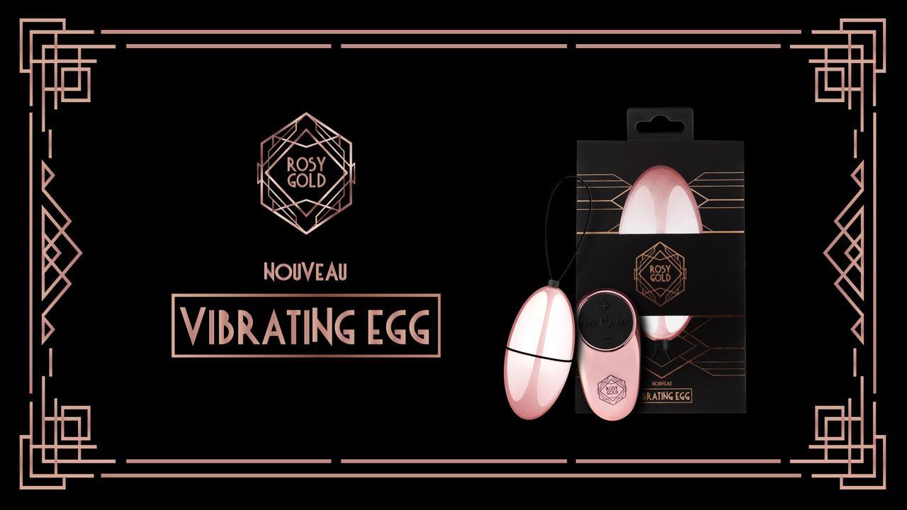 Rosy Gold Vibrating Egg & Remote Control / EasyToys TV Rosy Gold Vibrating Egg & Remote Control / EasyToys TV