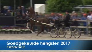 Presentatie goedgekeurde hengsten 2017