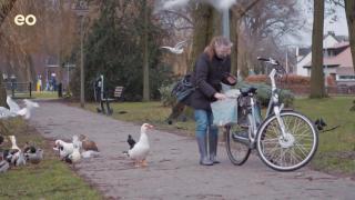Trailer tv serie Typisch Harderwijk