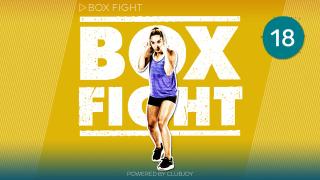 Box Fight 18