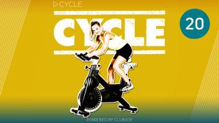 Cycle 20