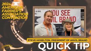 Steve Hoselton, President of Anvil Brand - AFA Convention Interview with Diana De Rosa