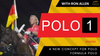 POLO 1: A New Concept for Polo