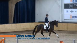 Miss Mone - Clock's Toto jr. x Rousseau