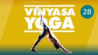 Vinyasa Yoga 28