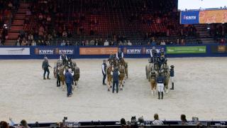 Tuigpaarden vierspannen in de mensport