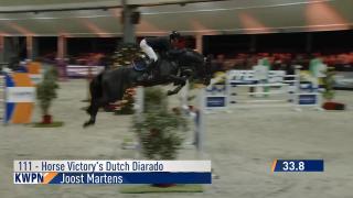 111. Horse Victory's Dutch Diarado