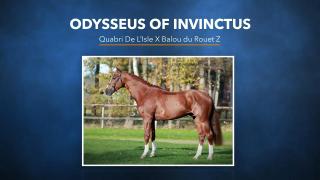 12. Odysseus Of Invinctus