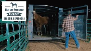 Horse Rescue Heroes  -  Season 2  Premiere:  Two Rescues