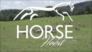 Horse Habit TV S1 E3