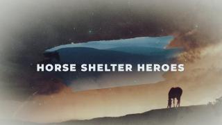 Horse Shelter Heroes Season 3 Episode 1