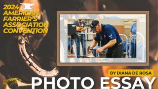 Photo Essay On the Scene at the 2024 American Farrier's Association Convention by Diana De Rosa