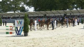 Nationale Tuigpaardendag 2023 - Future Cup - Young Riders