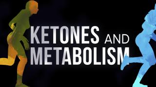 Keto 101 - Ketones and Metabolism