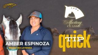 Mustang Classic QUICK TIP - Amber Espinoza Riding IEH Leyenda