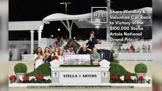 Sharn Wordley & Valentine Car Race to Victory in the $100,000 Stella Artois National Grand Prix.mp4