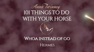 101 Things to Do with Your Horse - Whoa Instead of Go 