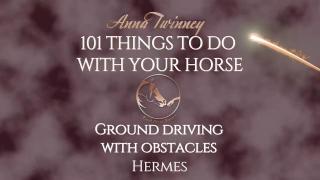 101 Things To Do With Your Horse - Ground Driving Obstacle Long Line
