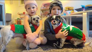 KERSTTRUIEN VOOR WOEZEL & PiP | Bellinga Vlog #1916