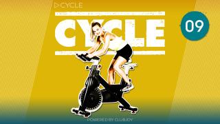 Cycle 9
