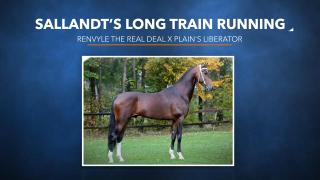 Sallandt's Long Train Running