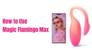 Magic Motion Flamingo Max (How to use) - Product Video