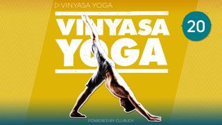 Vinyasa Yoga 20