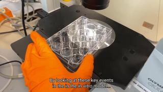 Understanding implant safety in vitro